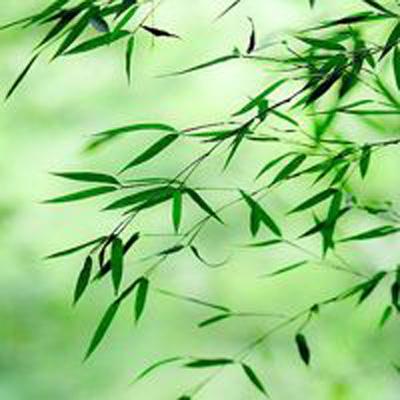 大富豪2商业大亨内购破解版下载